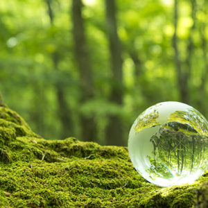 森林の中のガラス玉が地球を表している