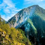 山に散骨をするイメージ