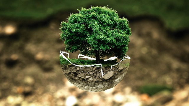 世界の樹木葬