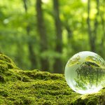 森林の中のガラス玉が地球を表している