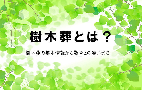 樹木葬とは？樹木葬の基本情報から散骨との違いまで