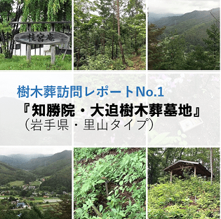 樹木葬,知勝院,祥雲寺