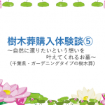 樹木葬,体験談,自然葬