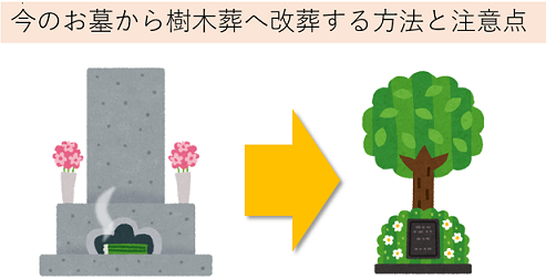 樹木葬,改葬