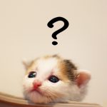 ペット終活,猫